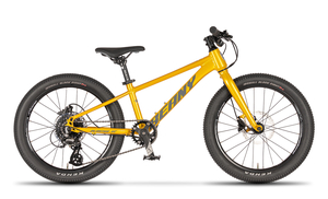 Beany dětské kolo BLASTER XC 20 gold