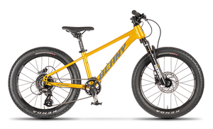 Beany dětské kolo BLASTER 20 gold