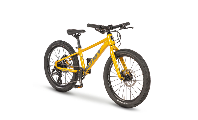 Beany dětské kolo BLASTER XC 20 gold